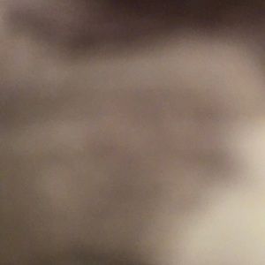 Meet your Posher, Alicia